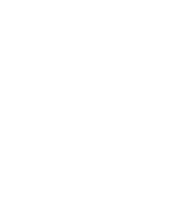 NexusPulse